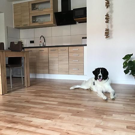 Apartmany A&Z Hořice na Šumavě Eksteriør bilde